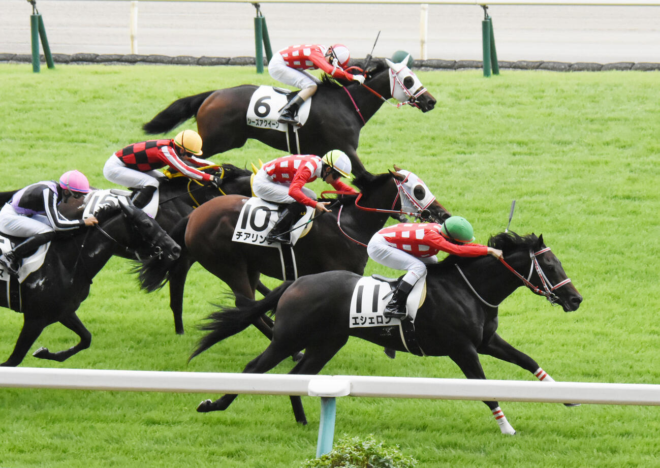 21年、10頭出走させたミルファーム所有馬は11番エシェロンと10番チアリングがワンツーフィニッシュ