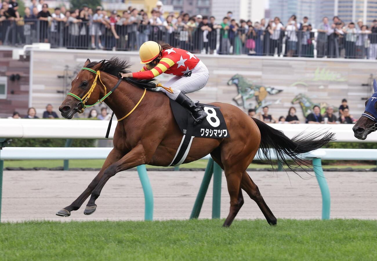 札幌10R、羊ケ丘特別を制したワタシマツワ