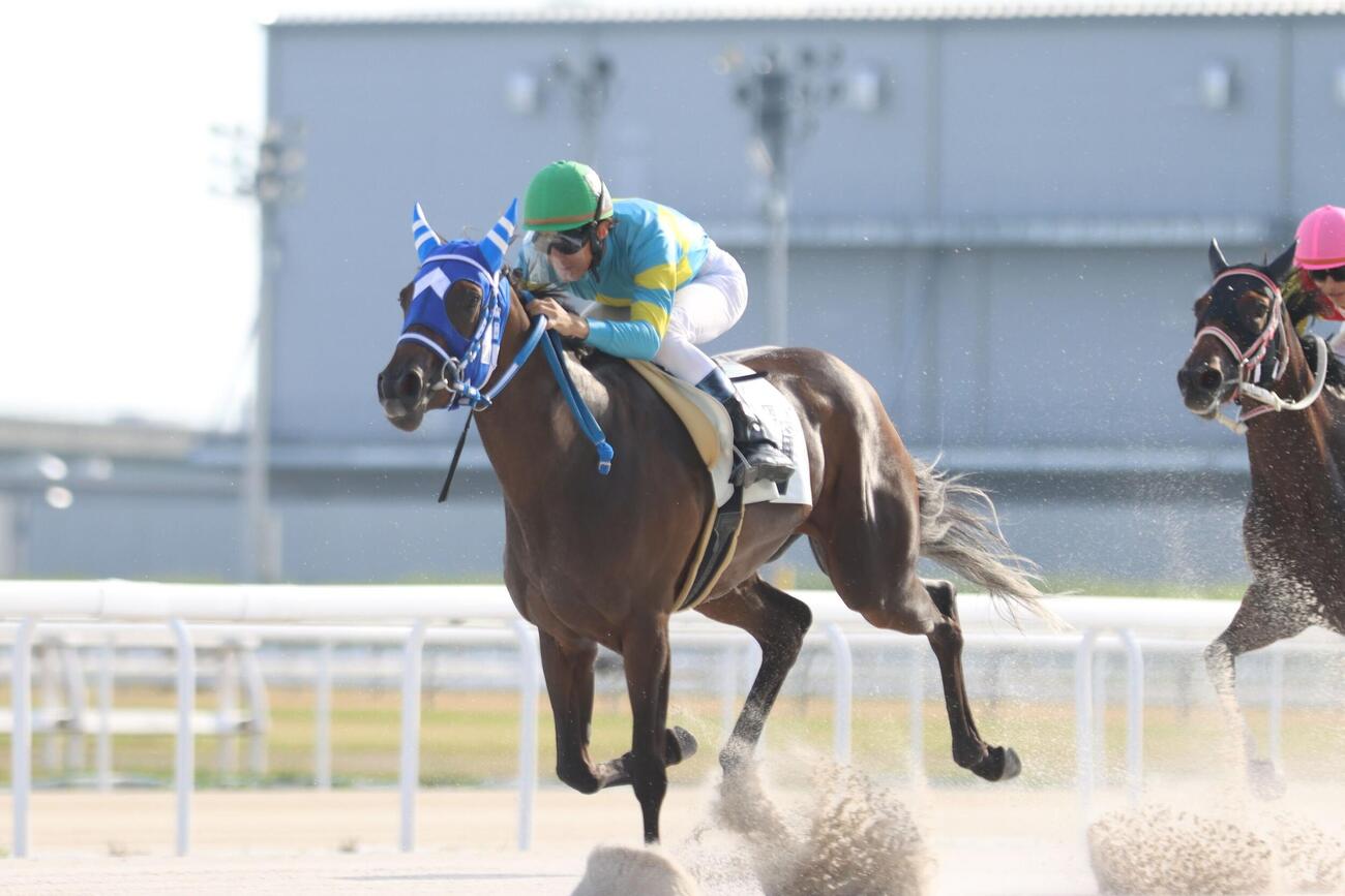 名古屋の望月洵輝騎手が地方通算500勝を達成（写真提供・愛知県競馬組合）