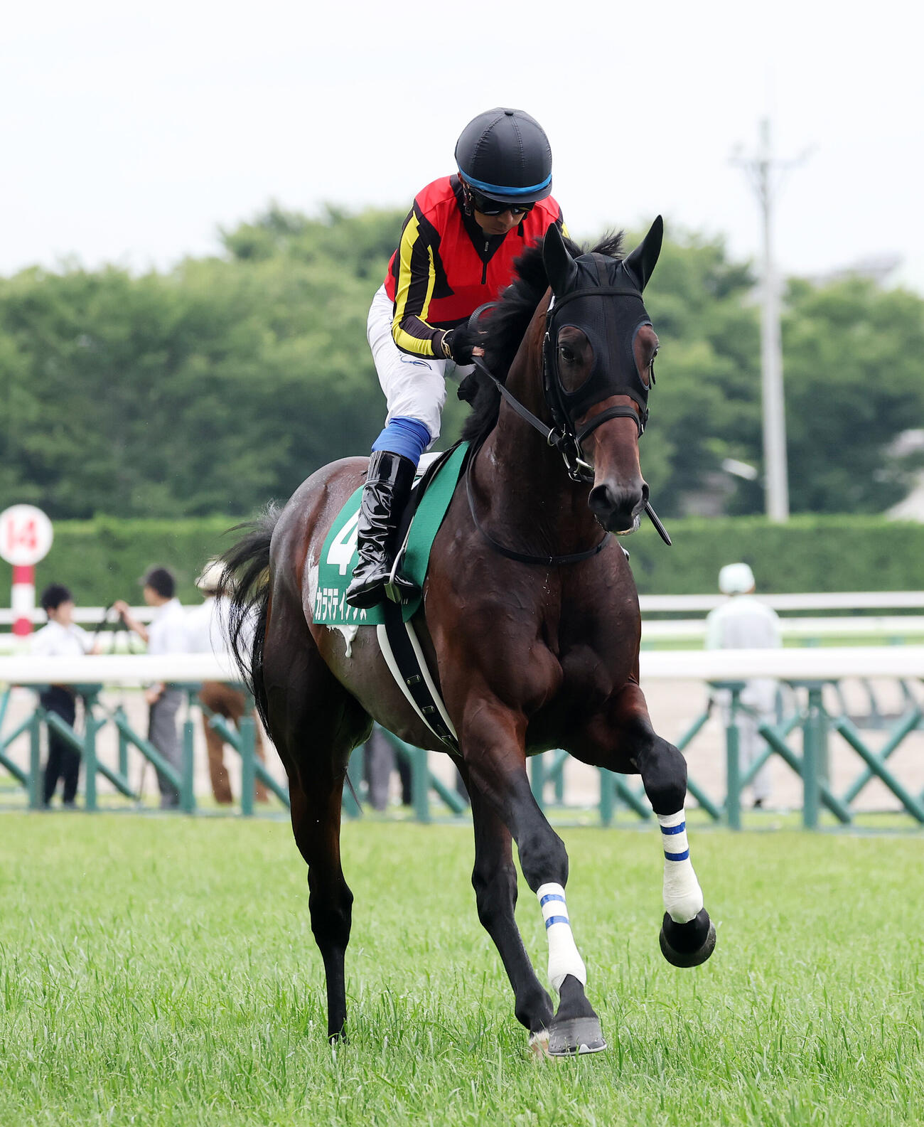 カラマティアノス（2026年7月12日撮影）