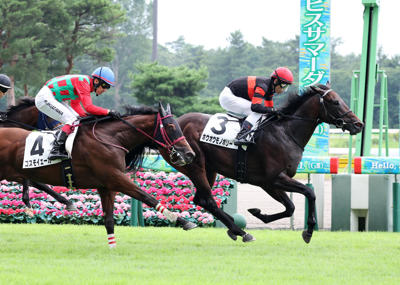 新潟2R 2歳新馬戦を制したホウオウモノポリー（右）と戸崎圭太騎手（撮影・鈴木正人）