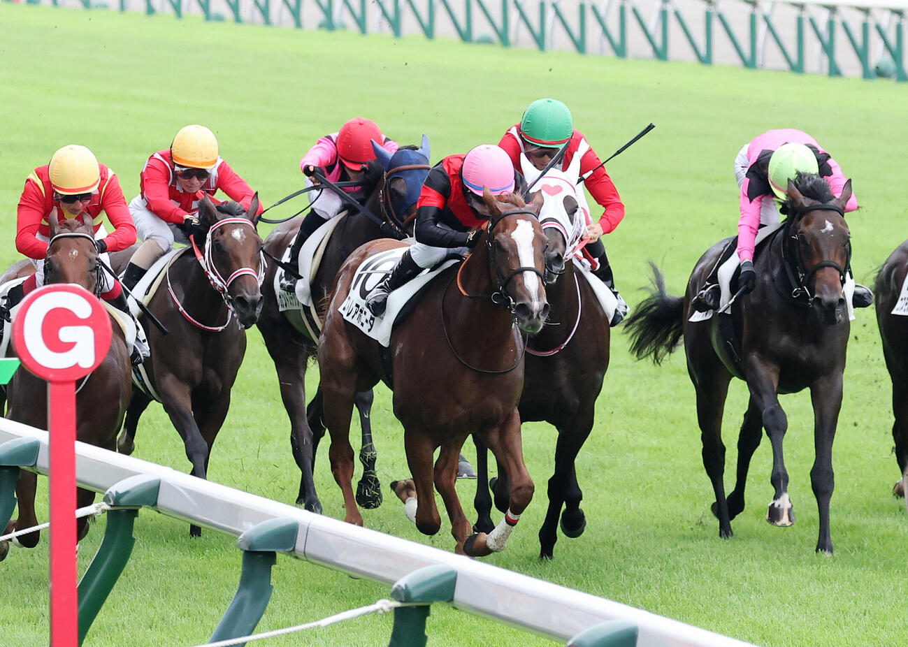 新潟1R 2歳未勝利を制したエストレアボニータ（中央）と石神深道騎手（撮影・鈴木正人）