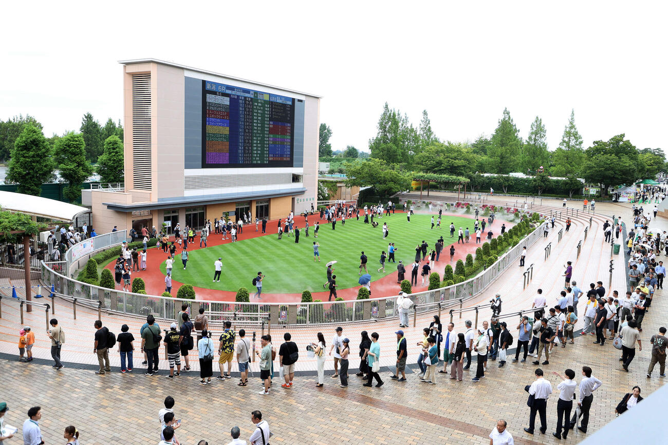 新潟競馬場のパドック（2024年撮影）