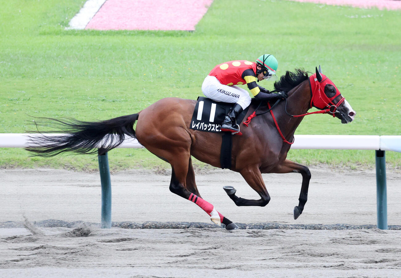 柳都Sを制したレイバックスピンと菊沢一樹騎手（撮影・鈴木正人）