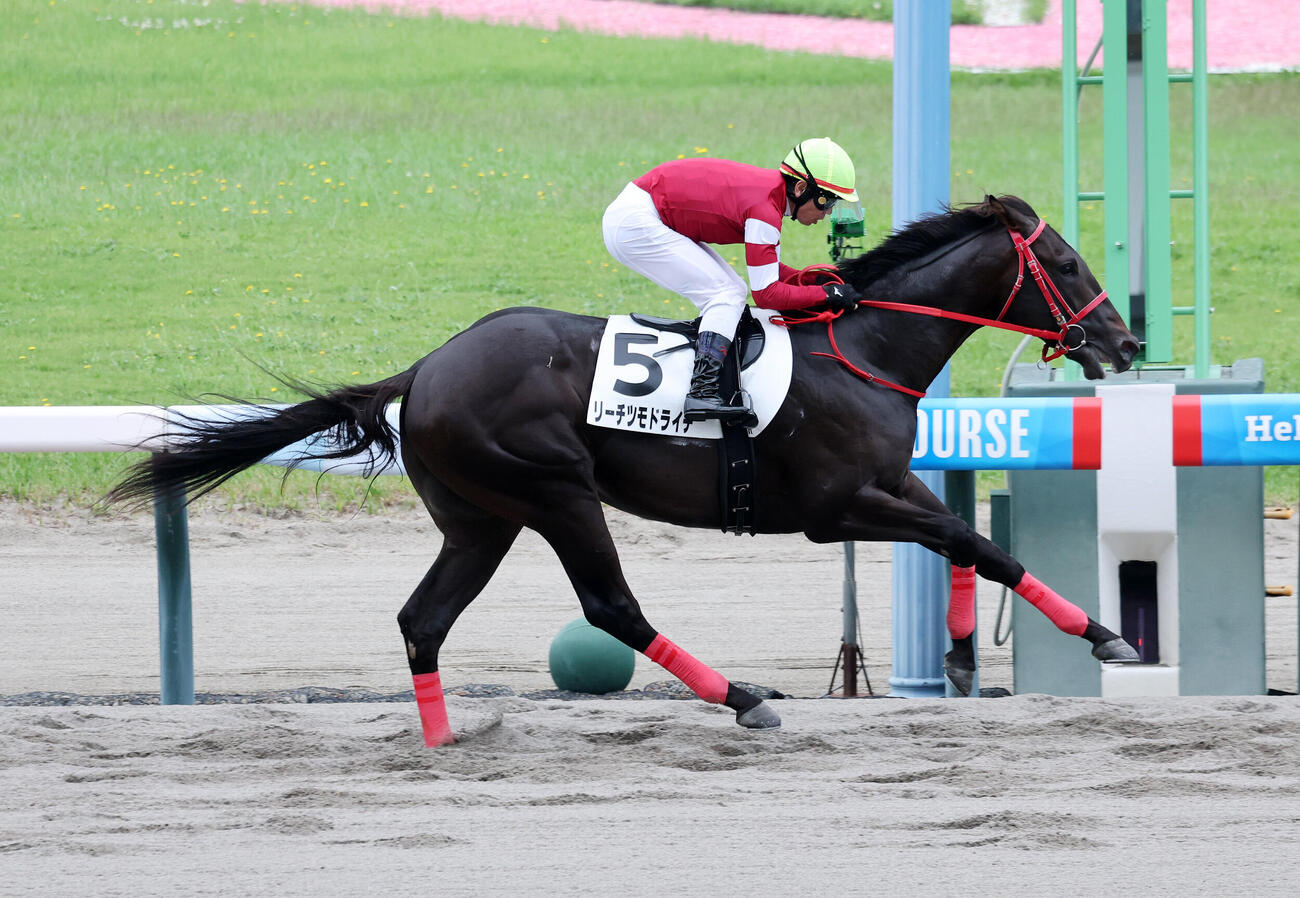 新潟2R、2歳新馬戦を制したリーチツモドライチと戸崎圭太騎手（撮影・鈴木正人）