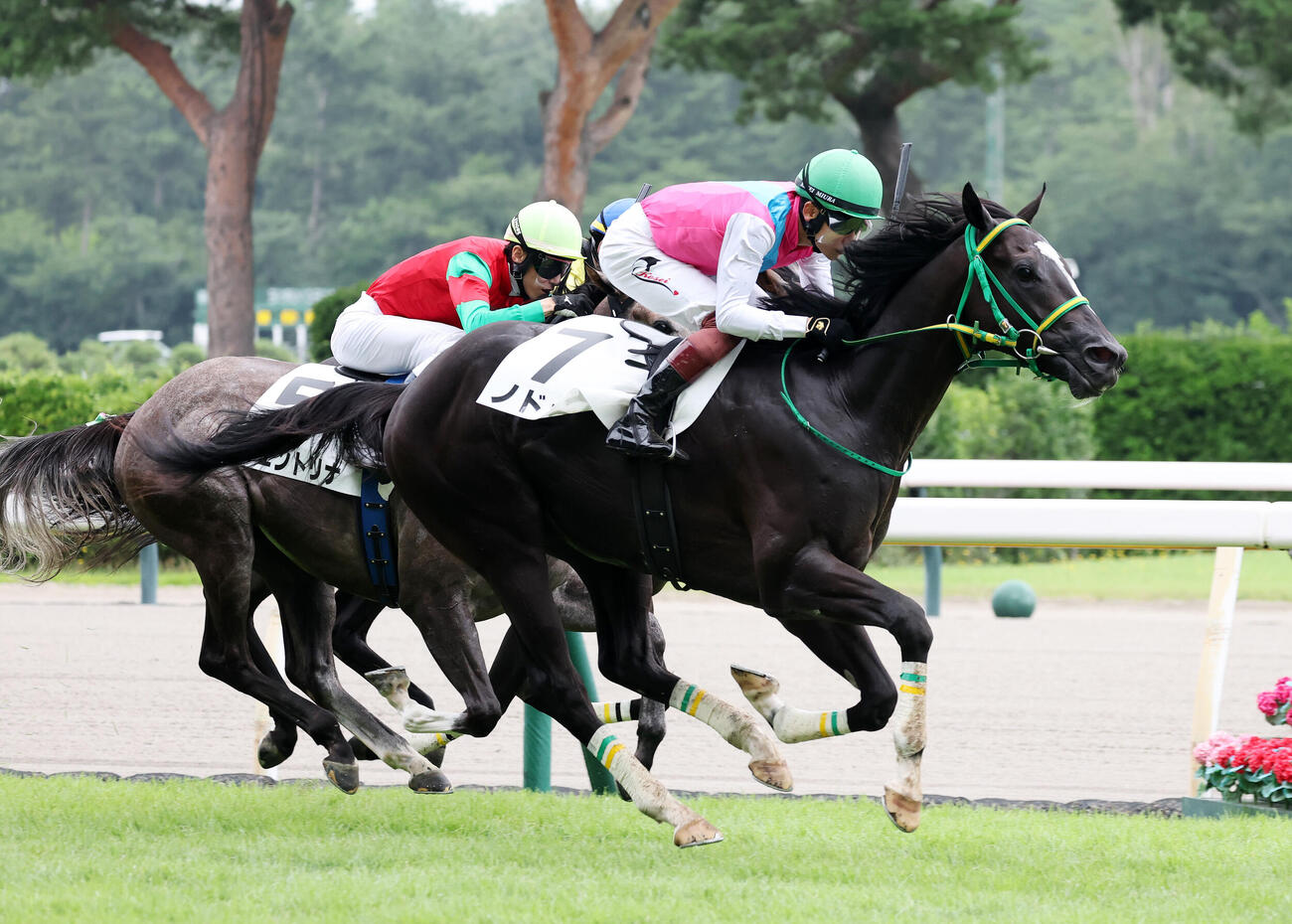 新潟1R、2歳未勝利戦を制したノドゥス（手前）と三浦皇成騎手（撮影・鈴木正人）