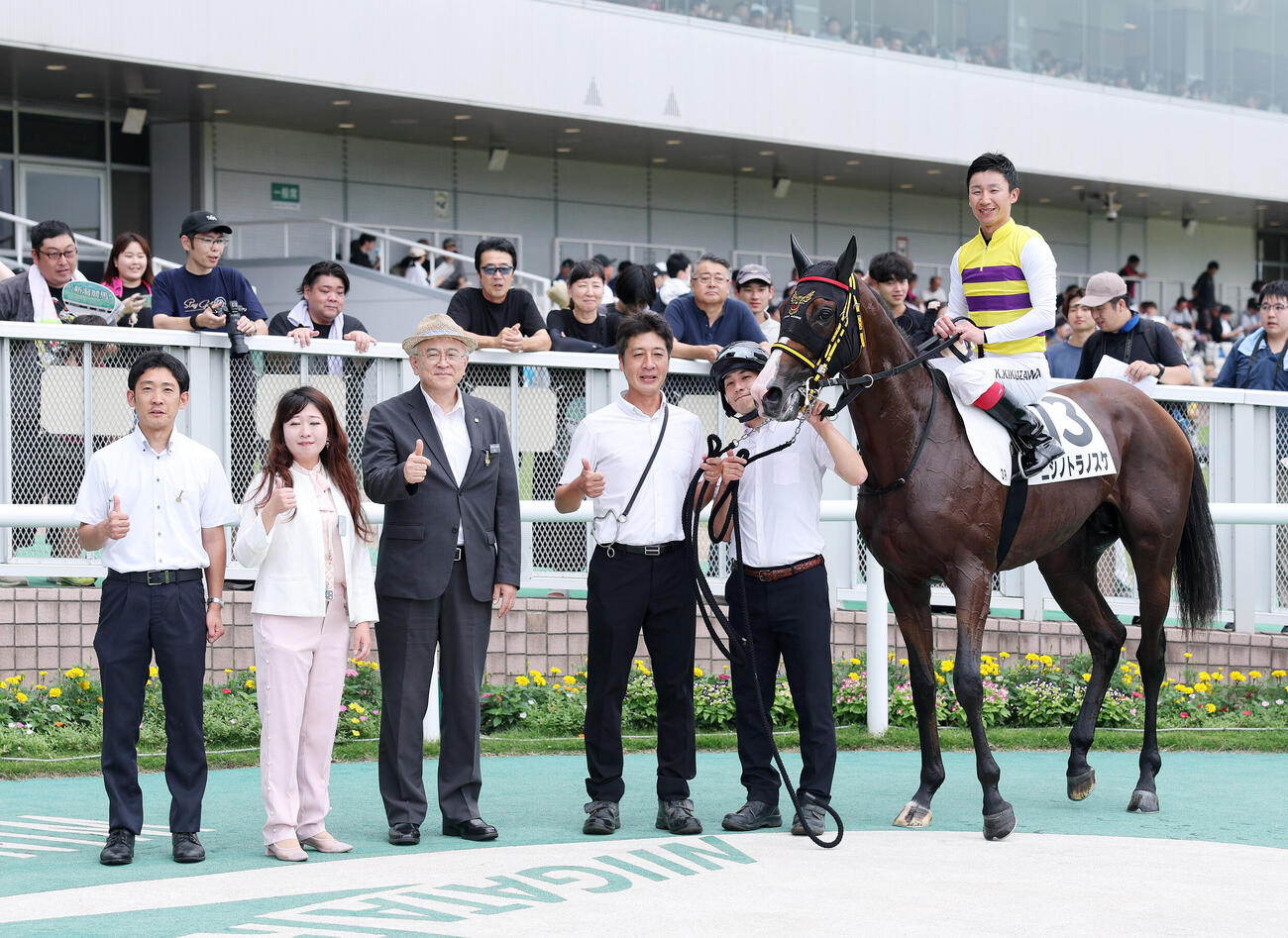 新潟3R、2歳新馬戦を制したニシノトラノスケと菊沢一樹騎手（撮影・鈴木正人）