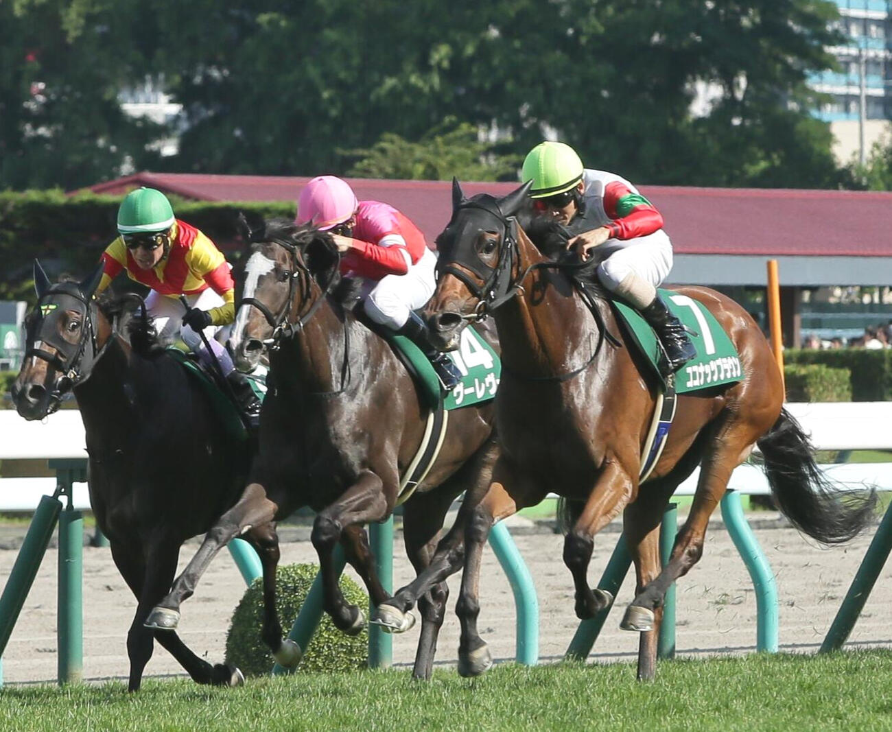 クイーンS4着に敗れたエリカエクスプレス。右は勝ったココナッツブラウン