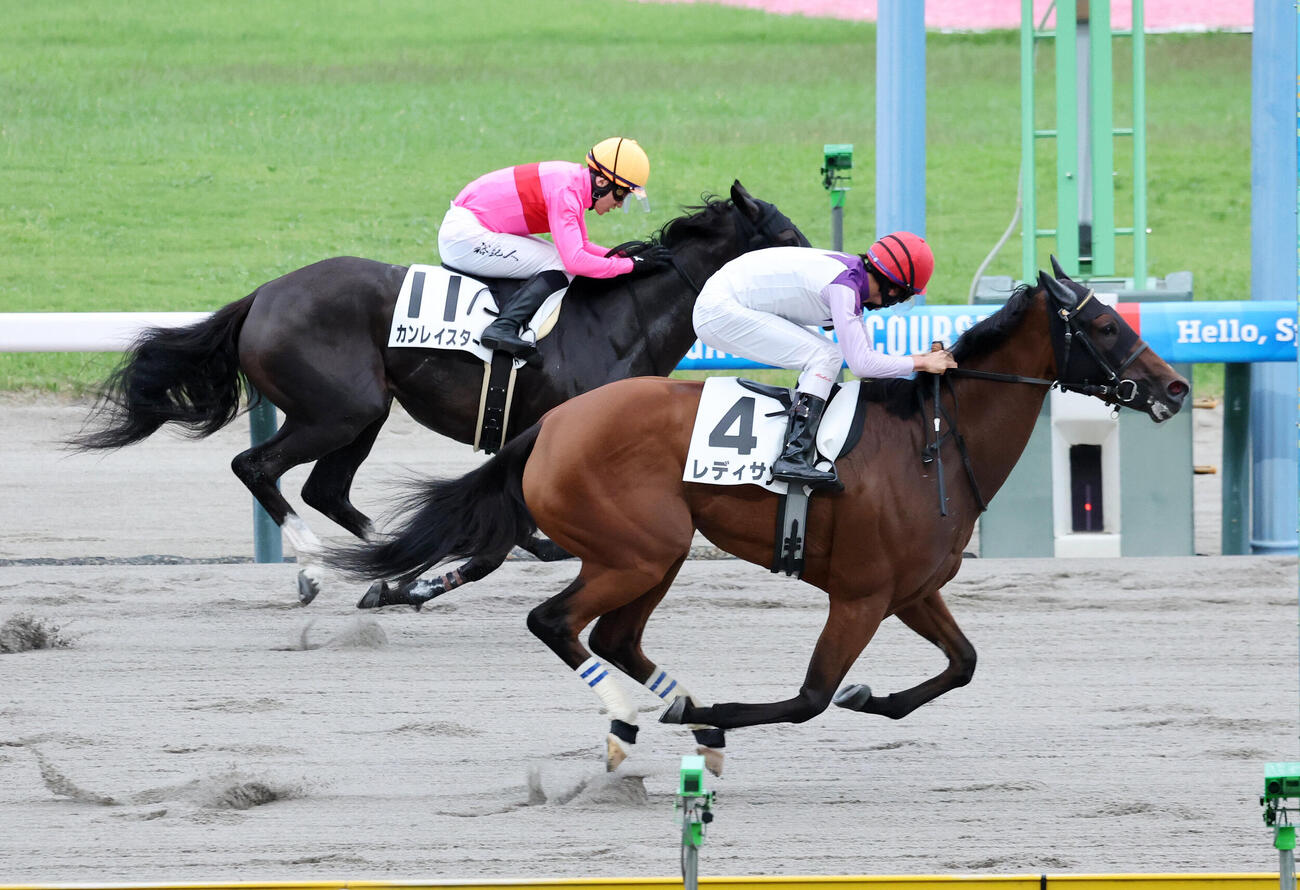新潟10R 3歳以上1勝クラスを制したブレディサン（手前）と杉原誠人騎手（撮影・鈴木正人）
