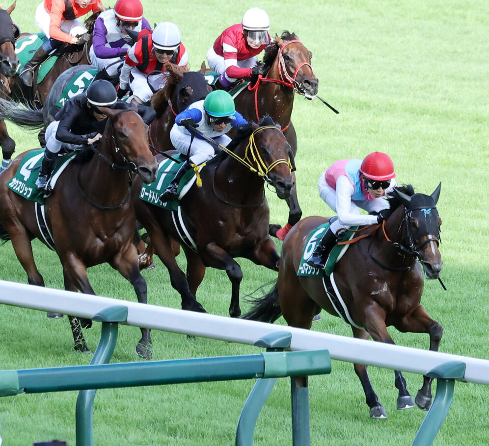 アイビスSD2着に入ったロードトレイル（中央）。右は勝ったピューロマジック