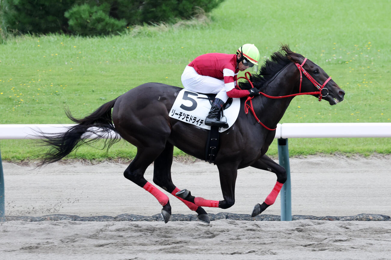 2歳新馬戦を制したリーチツモドライチ（2026年8月撮影）