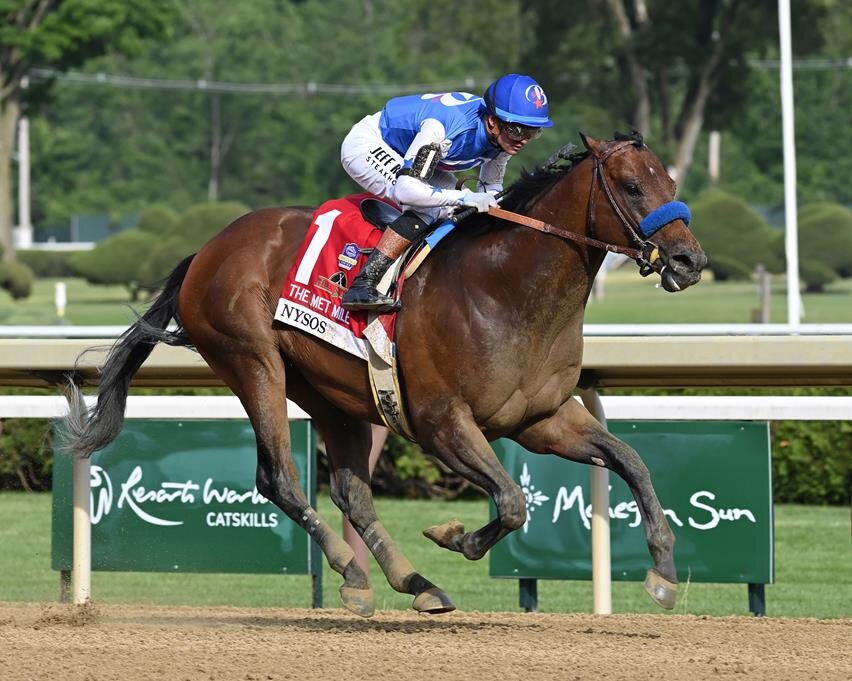 引退が発表されたナイソス（C）Coolmore