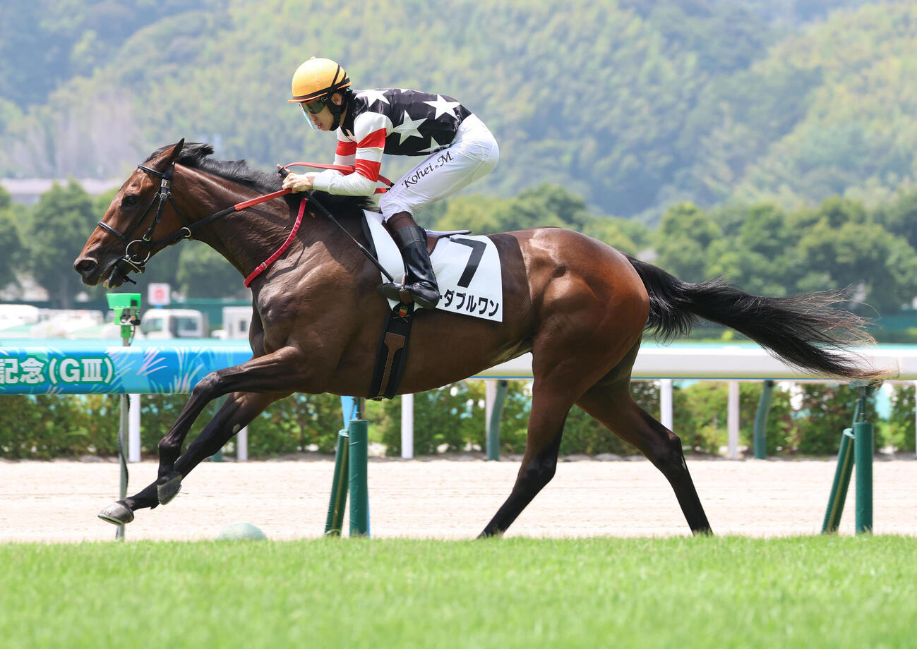 新馬戦を制したユーダブルワン（2026年7月撮影）