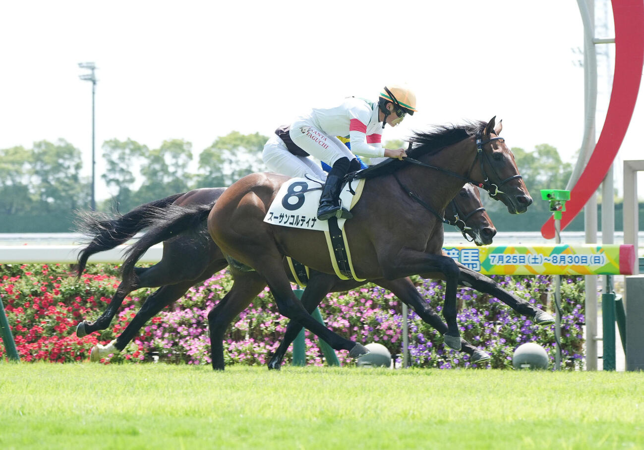 新馬戦を制したスーサンコルティナ（2026年8月2日撮影）