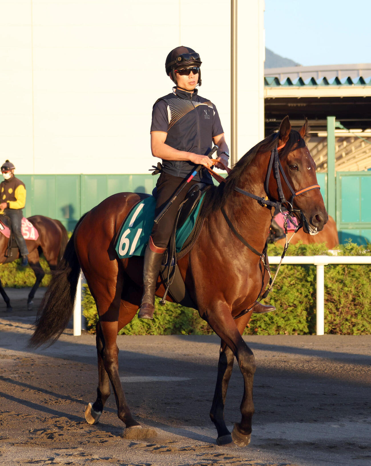 札幌競馬場で調整するムッチリスタイル