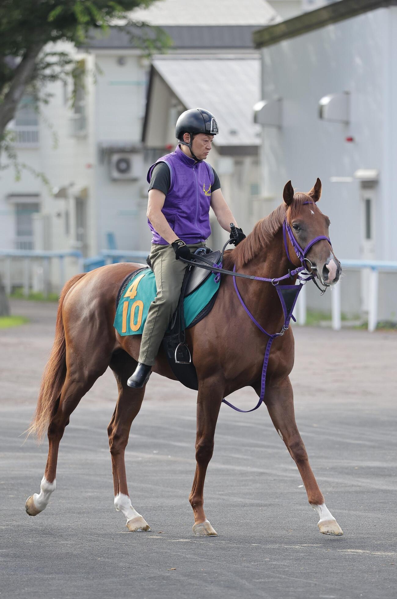 函館競馬場で調整するジーフォーリア