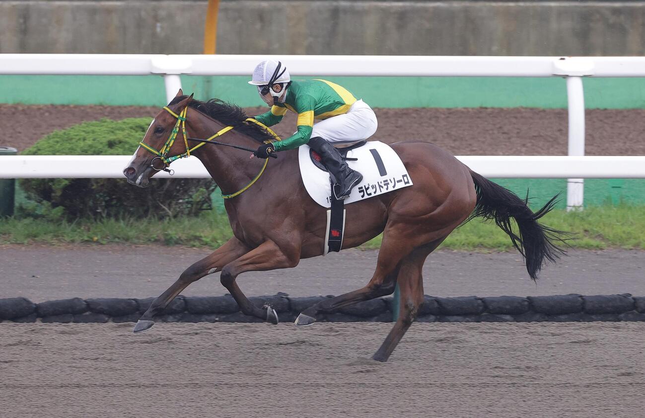 7月11日、函館1Rの2歳未勝利を制したラピッドテソーロ