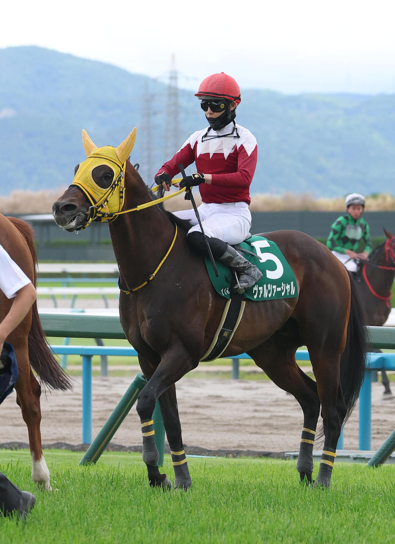 平安Sで2着に入ったヴァルツァーシャル