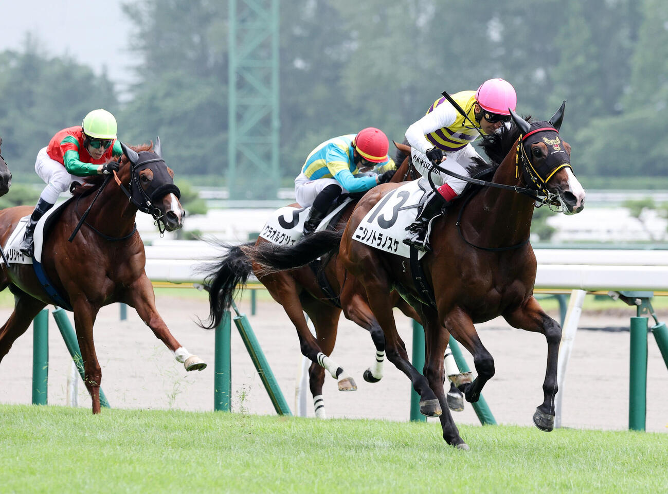 新潟3R、2歳新馬戦を制したニシノトラノスケ（右）と菊沢一樹騎手（2026年8月2日撮影）