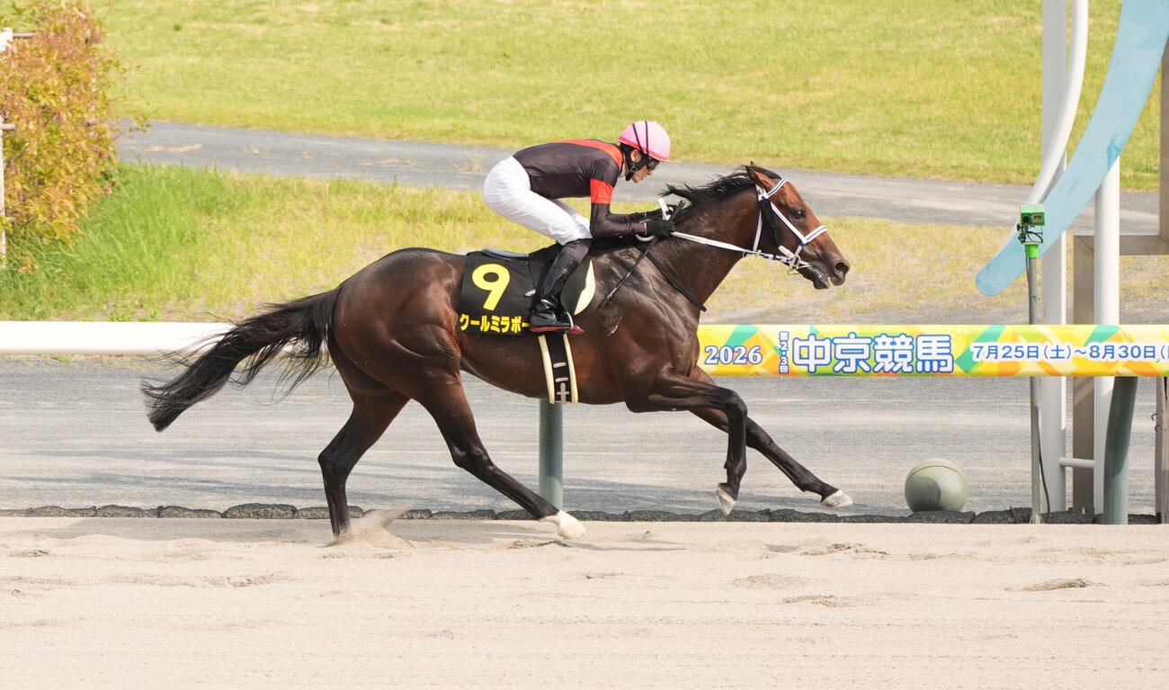クールミラボー（2026年8月撮影）