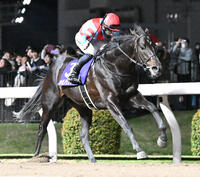 競馬 : 日刊スポーツ