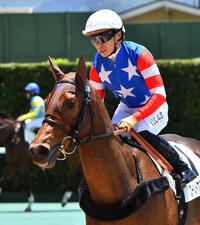 競馬 : 日刊スポーツ