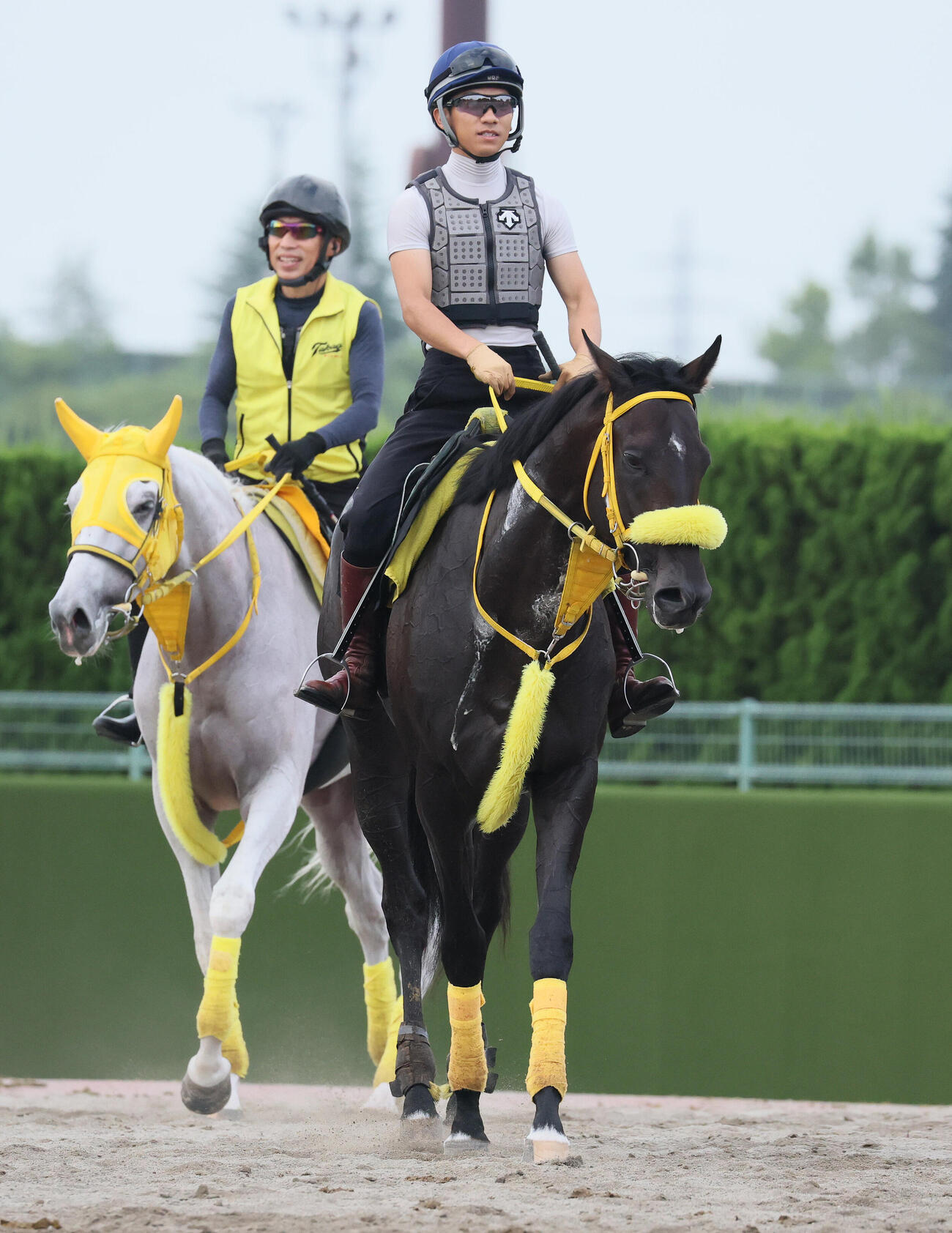 追い切りを終えて馬場を出るドンエレクトスと荻野極騎手（撮影・丹羽敏通）