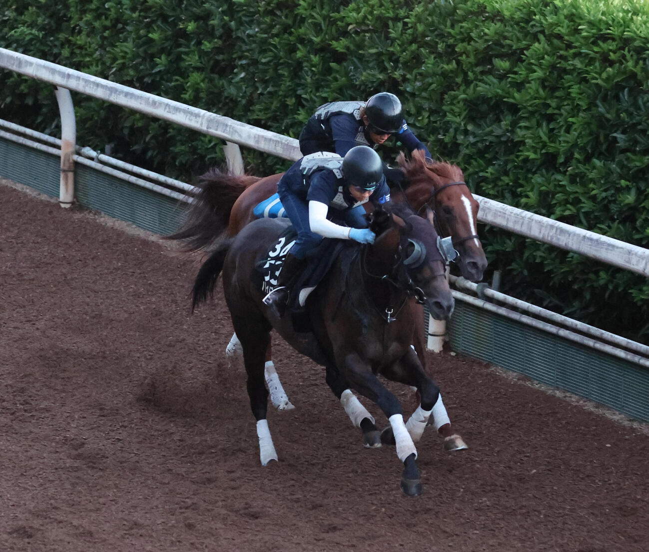 坂路を併せ馬で追い切るパイロマンサー（手前）＝2026年8月5日

