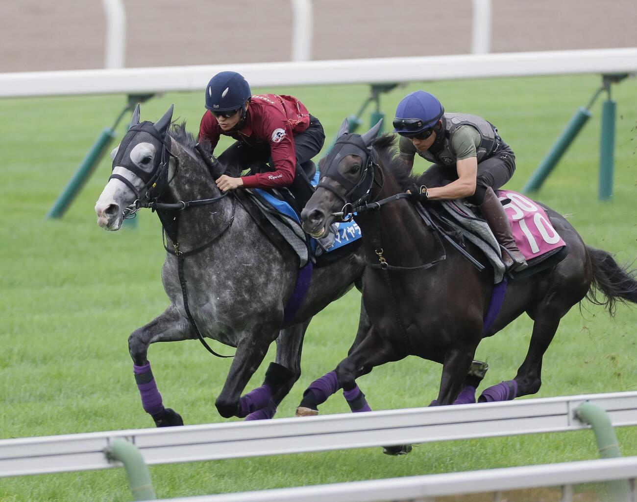 坂井瑠星騎手を背に、芝コースで併せ馬で追い切られるアドマイヤテラ（左）