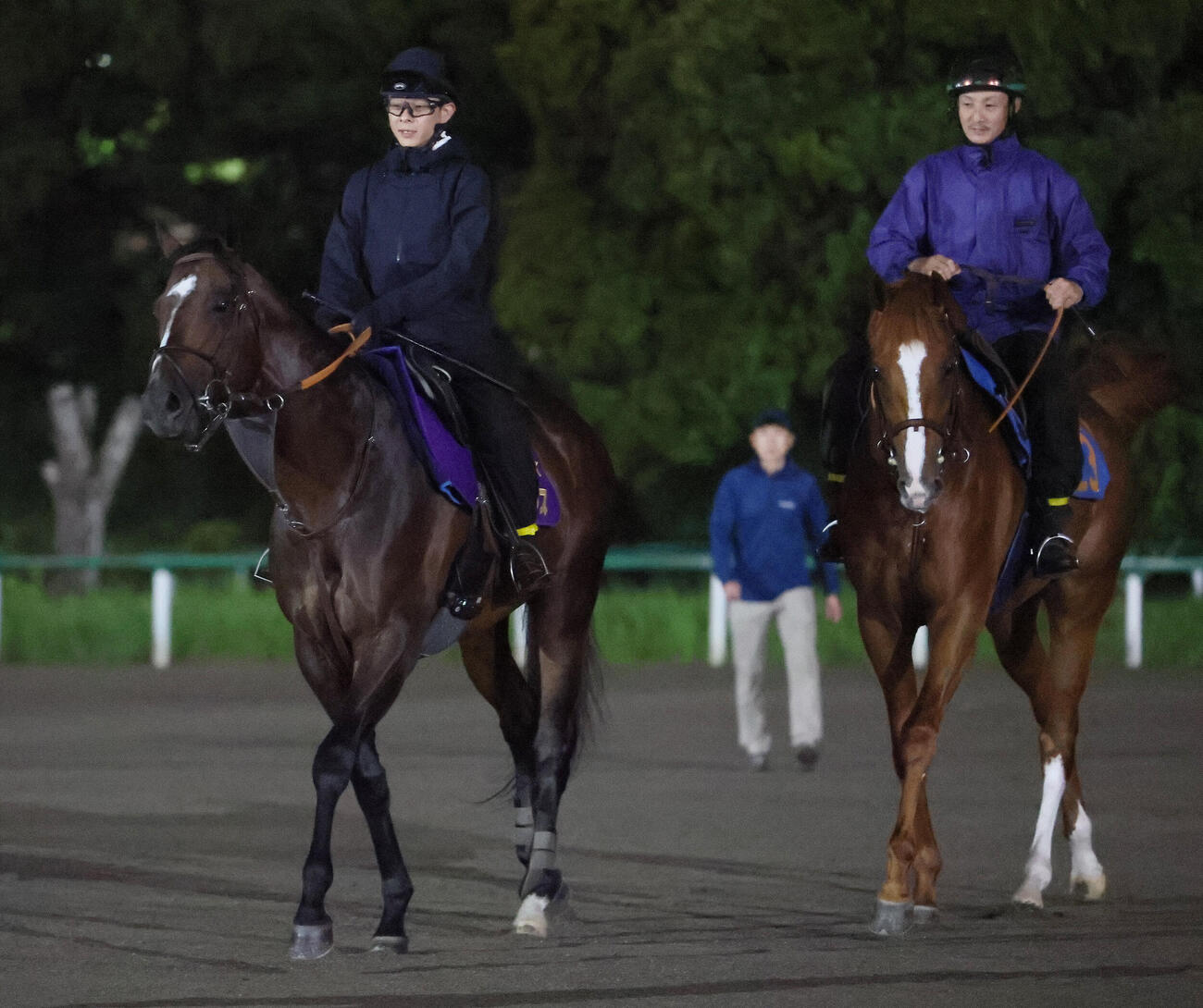 馬場入りするシックスペンス（左）とダノンピクチャー（撮影・丹羽敏通）