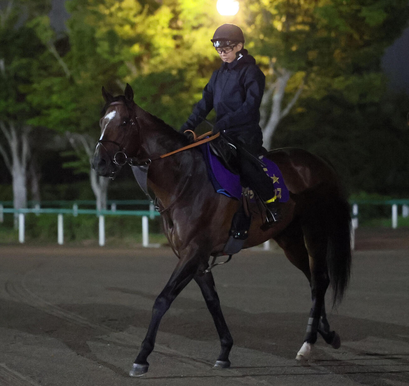 馬場入りするシックスペンス（撮影・丹羽敏通）