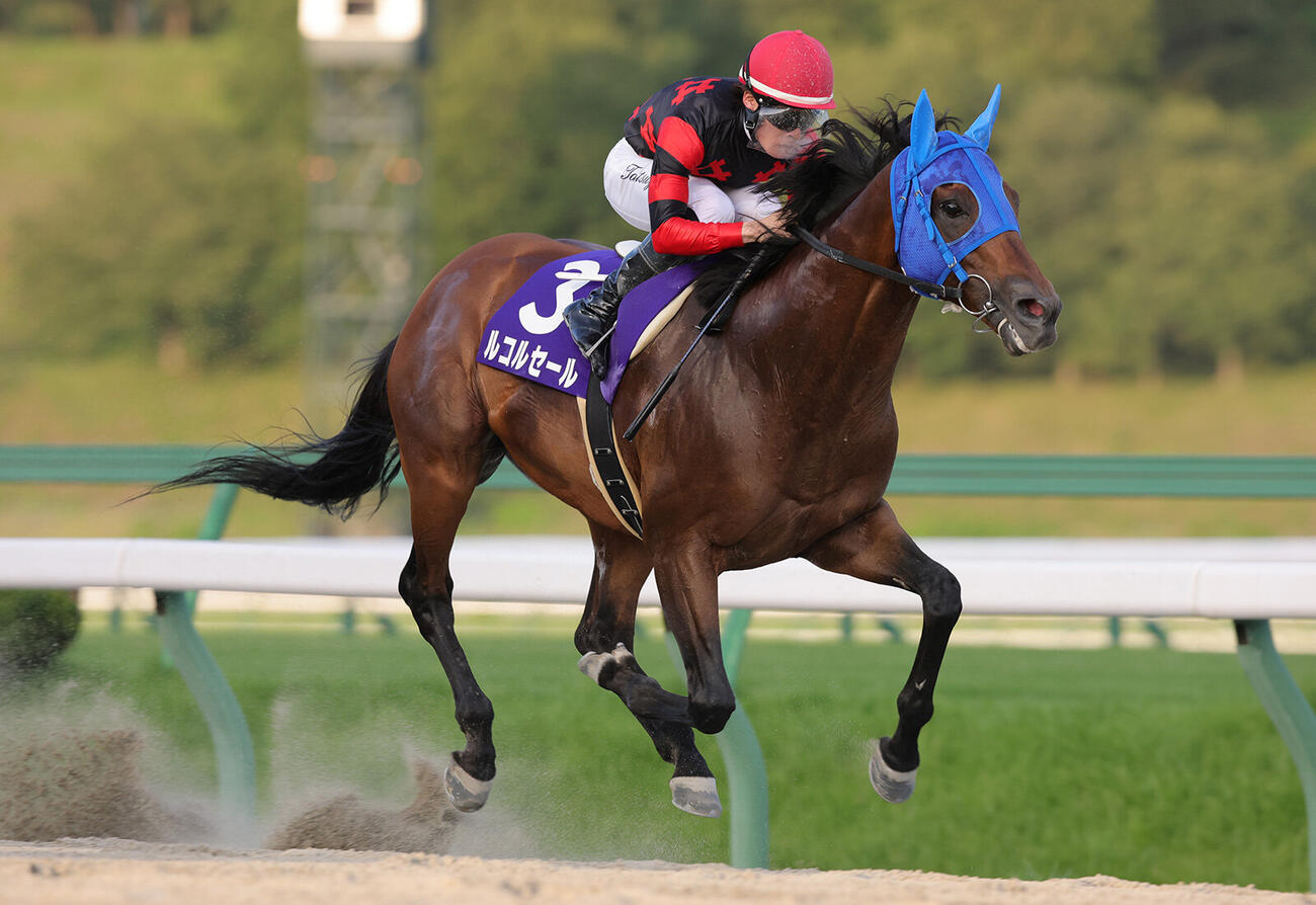 岩鷲賞を制したルコルセール（提供・岩手県競馬組合）