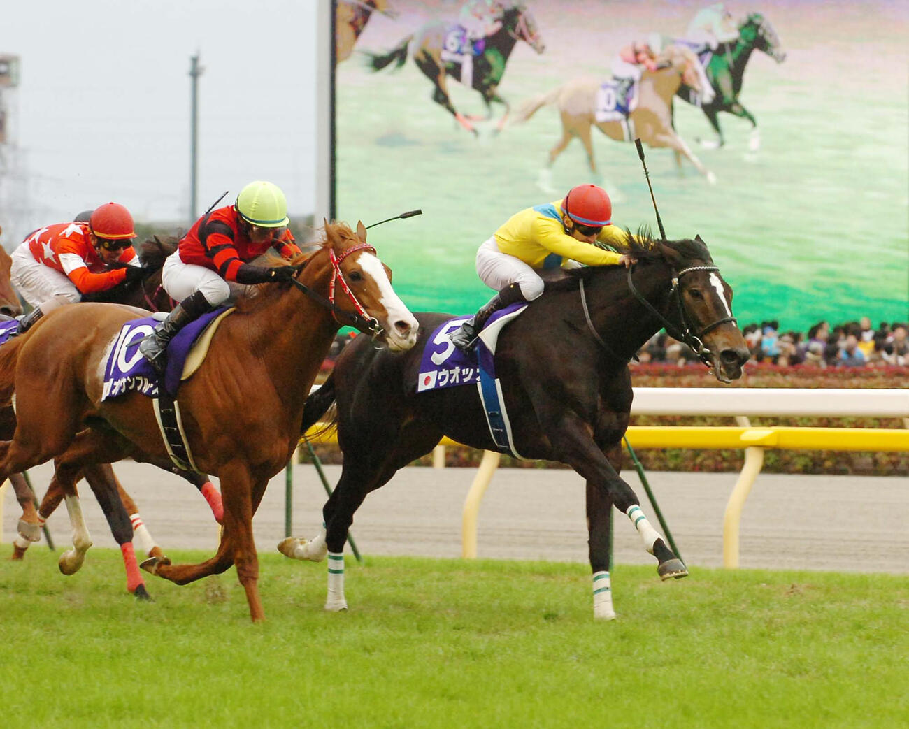 09年、ジャパンカップを制したウオッカとルメール騎手（右）