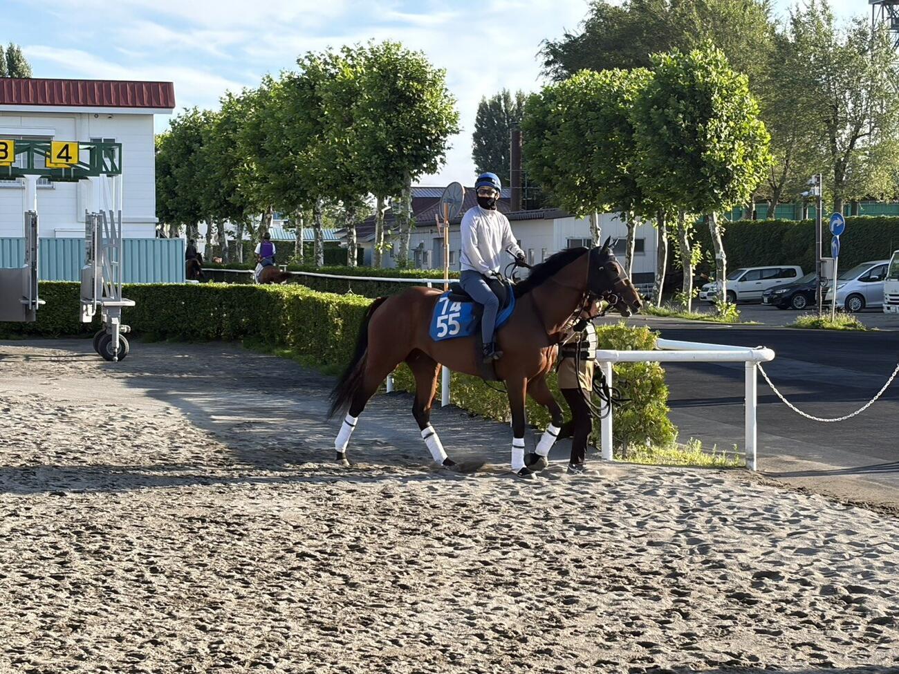 松山弘平騎手を背に札幌競馬場の馬場へ向かうテーオーパスワード