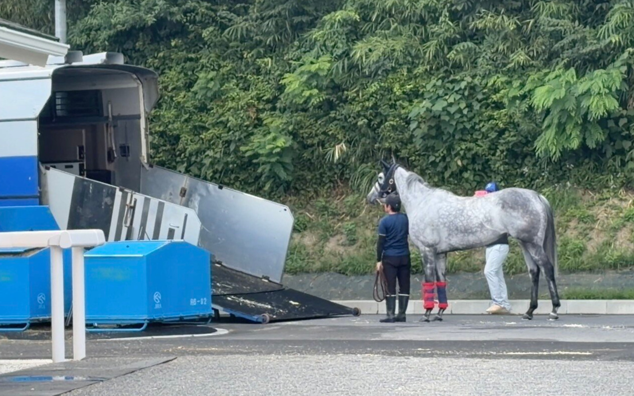 馬運車に乗り込むのをごねるテイエムスパーダ