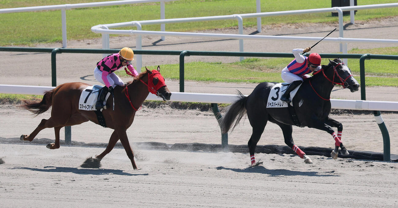 新潟2R、2歳新馬戦を制したジャスパートレノと荻野極騎手（右）（撮影・丹羽敏通）