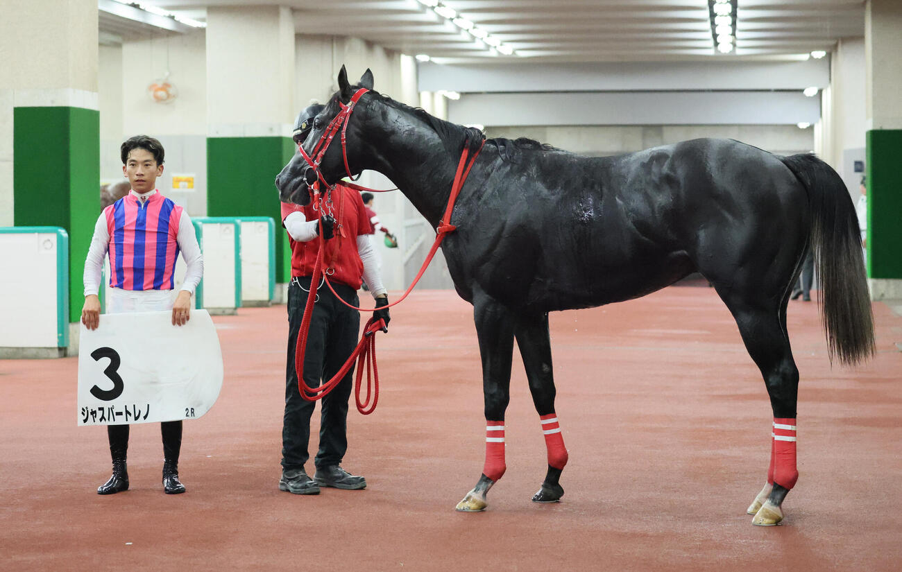 新潟2R、2歳新馬戦を制したジャスパートレノの口取りをする荻野極騎手（撮影・丹羽敏通）