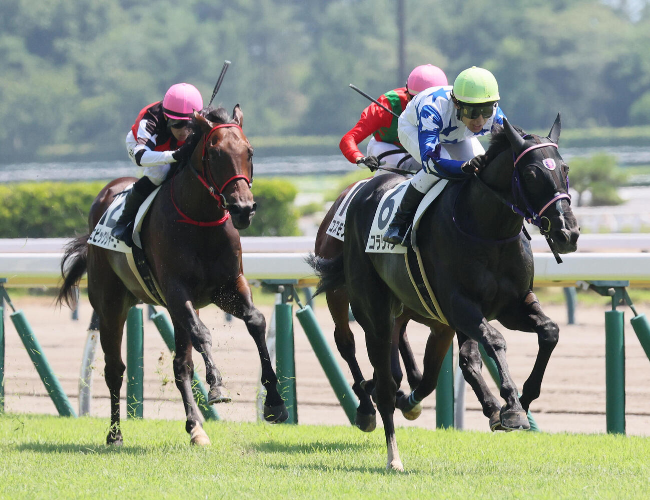新潟3R、2歳新馬戦を制したコラリオンと田辺裕信騎手（撮影・丹羽敏通）