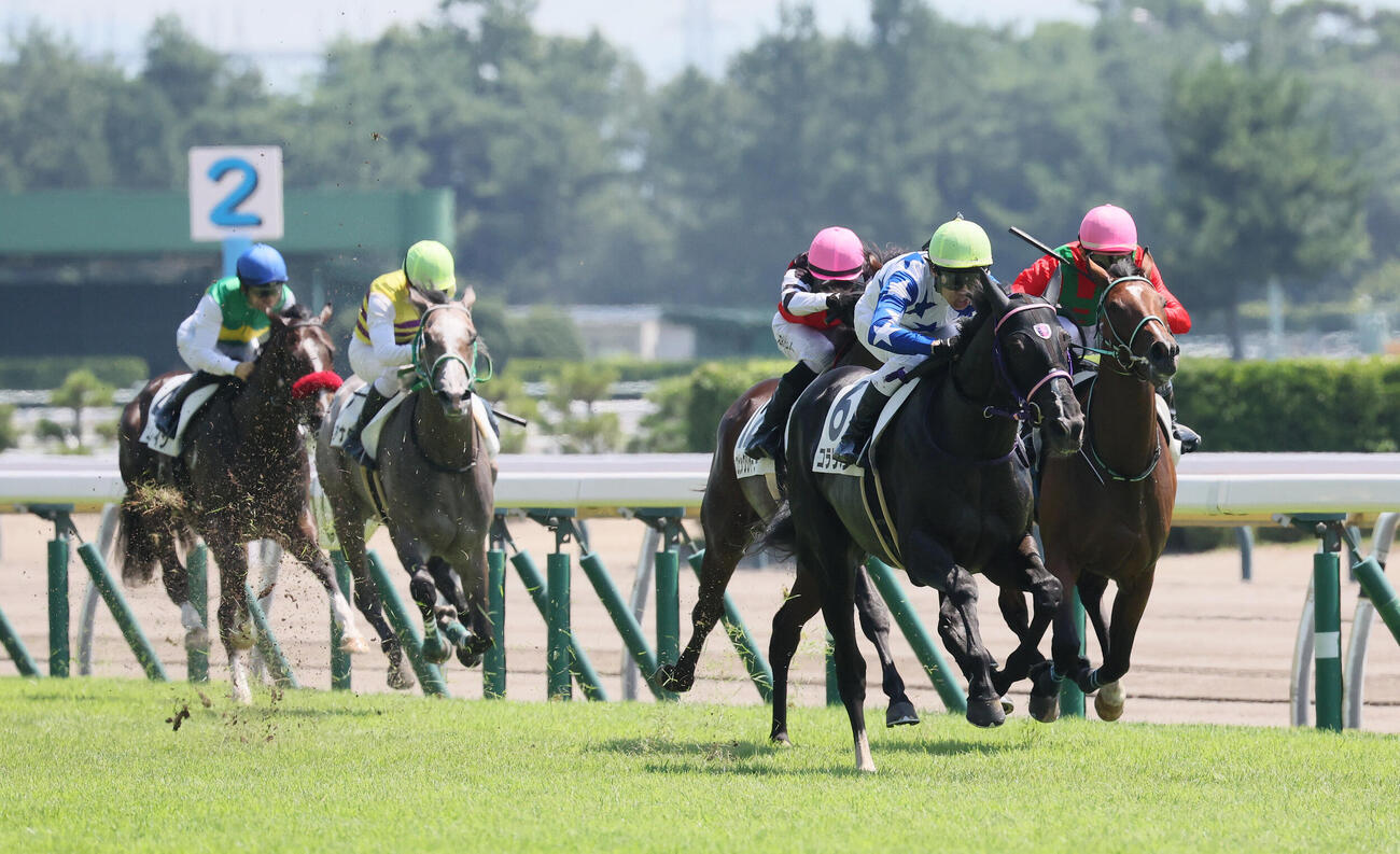 新潟3R、2歳新馬戦を制したコラリオンと田辺裕信騎手（撮影・丹羽敏通）