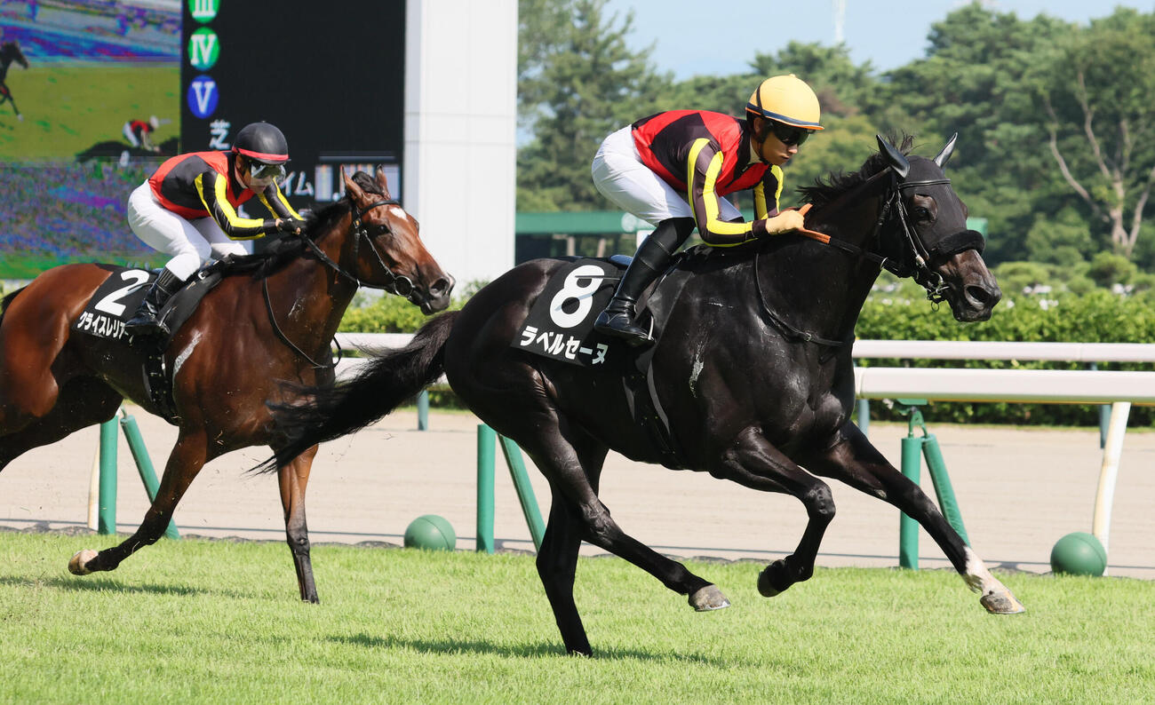 新潟6R、三面川特別を制したラベルセーヌと荻野極騎手（撮影・丹羽敏通）