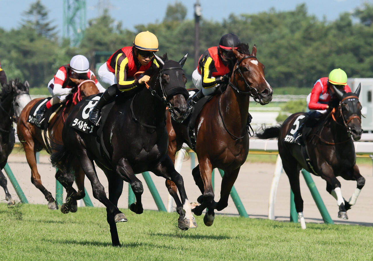 新潟6R、三面川特別を制したラベルセーヌと荻野極騎手（撮影・丹羽敏通）