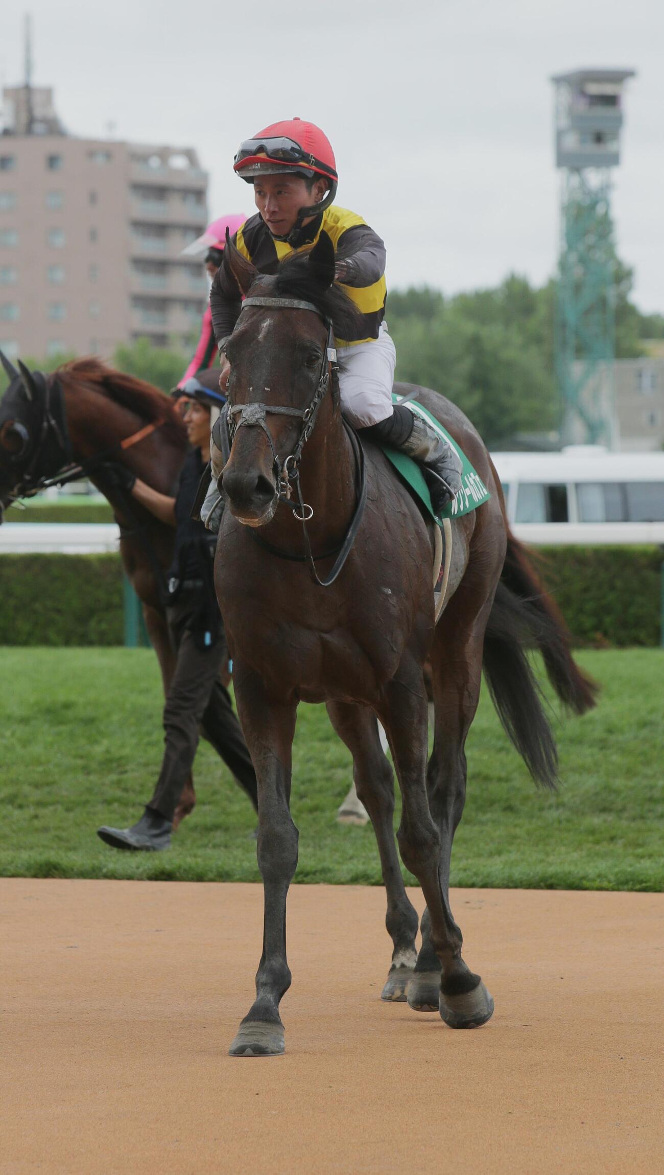 11Rエルムステークスを制したルクソールカフェと岩田望来騎手