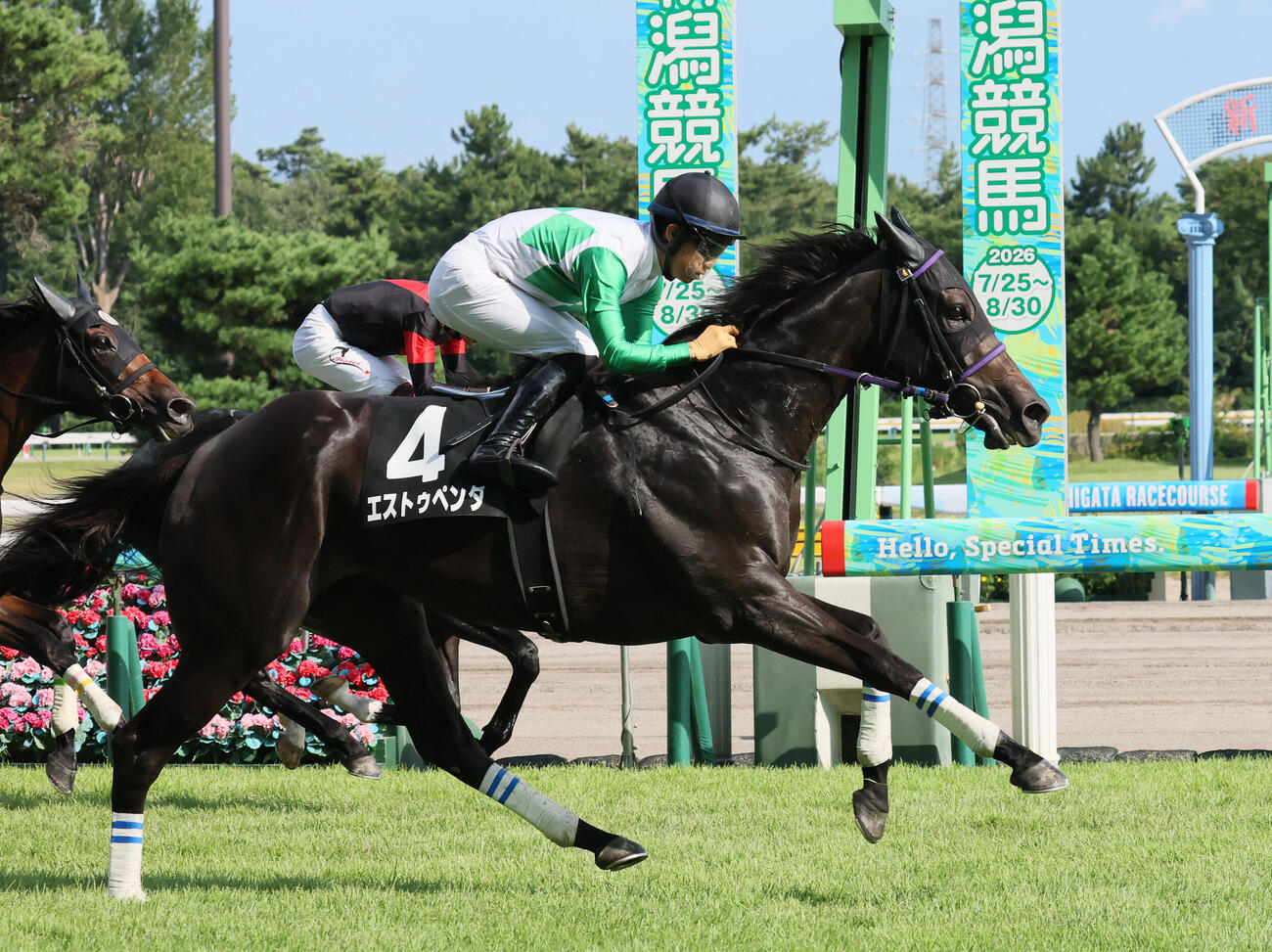 新潟7R、関越Sを制したエストゥペンダと荻野極騎手（撮影・丹羽敏通）