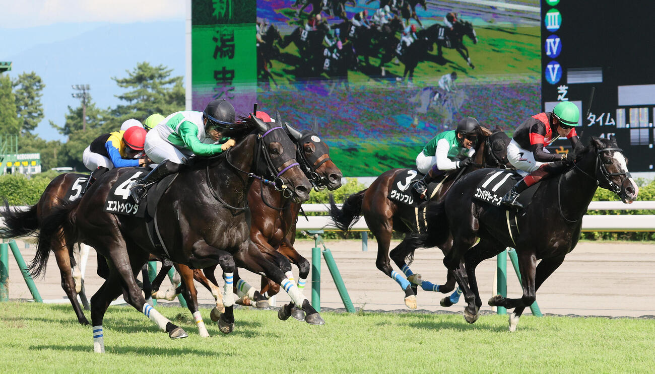 新潟7R、関越Sを制したエストゥペンダと荻野極騎手（左）。右は2着ゴンバデカーブース（撮影・丹羽敏通）
