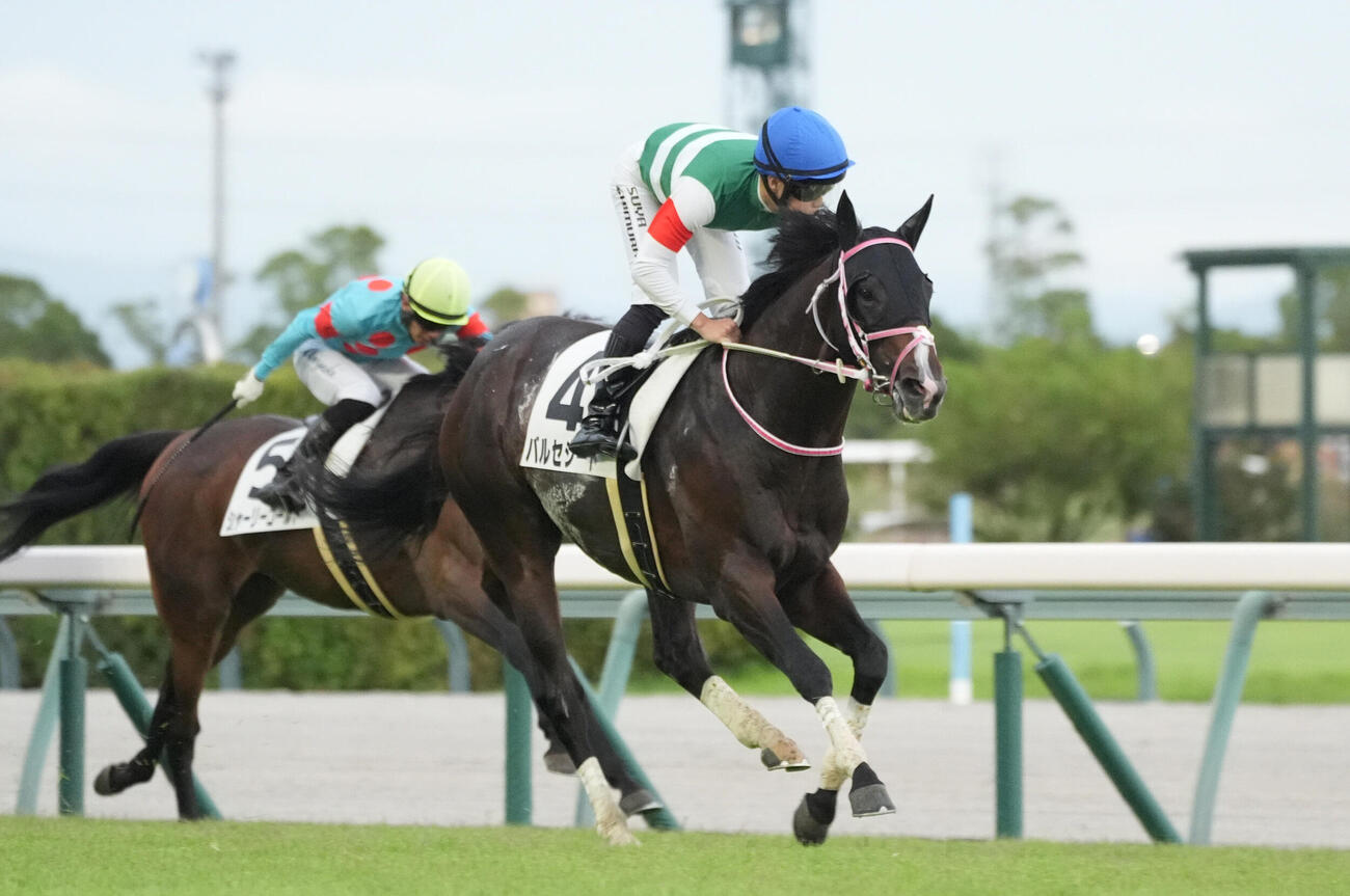 中京11Rを制したバルセシート（撮影・森本幸一）