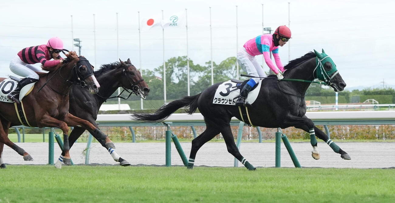 中京9Rを制したクラウンセト（撮影・森本幸一）