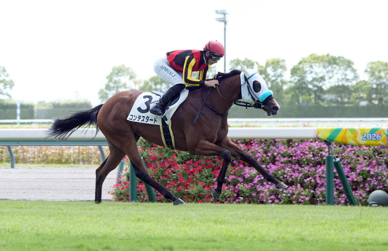 中京2Rメイクデビュー中京（2歳新馬戦）で快勝したコンテスタード（撮影・森本幸一）