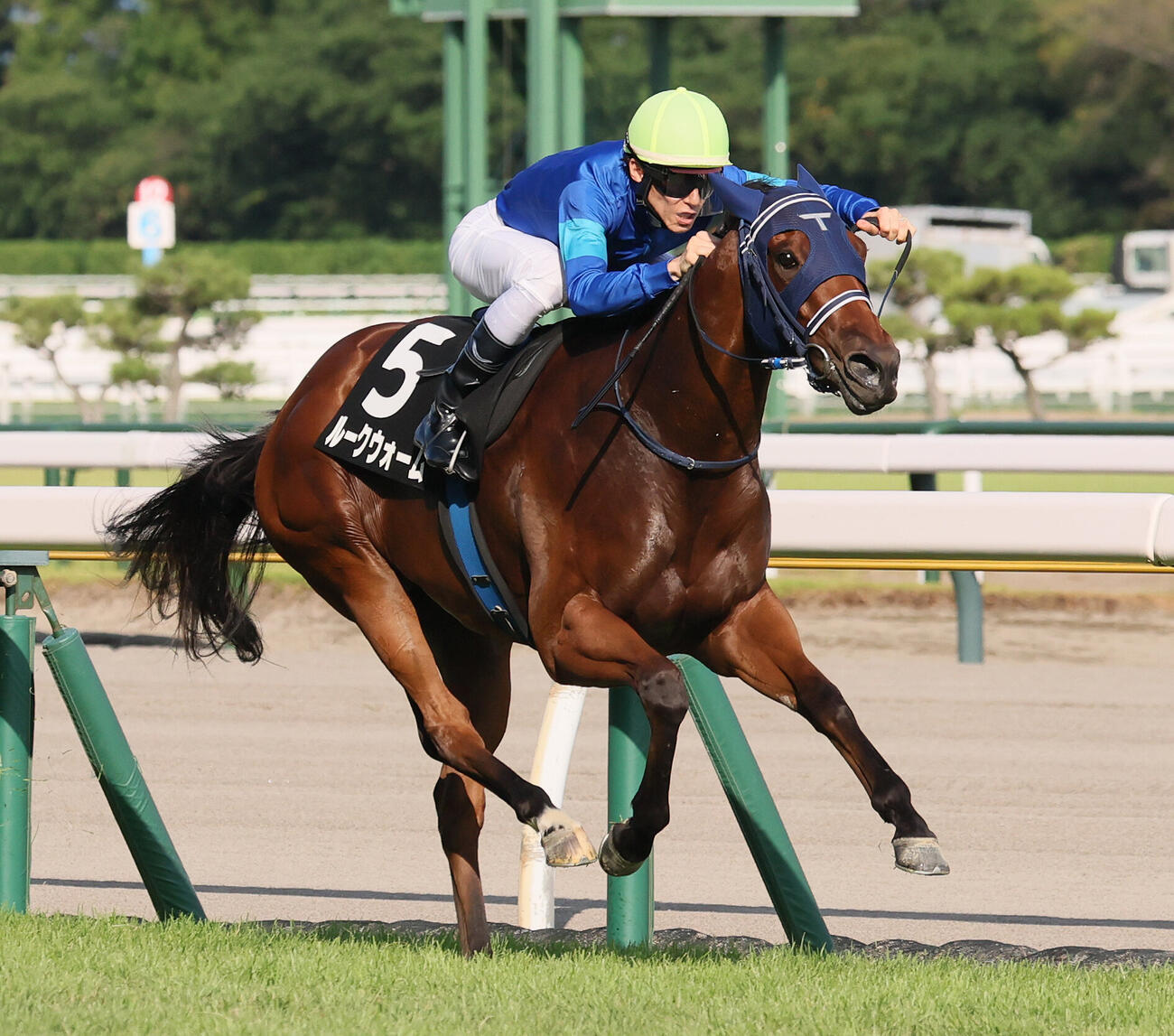 ダリア賞を制したルークウォームと津村明秀騎手（撮影・丹羽敏通）