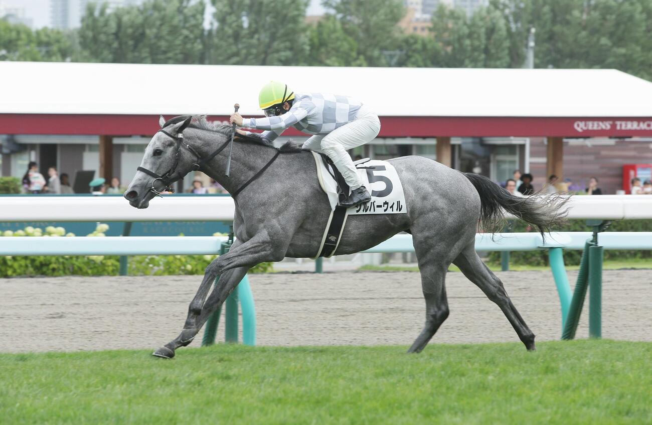 札幌5R、2歳新馬戦を制したシルバーウィル