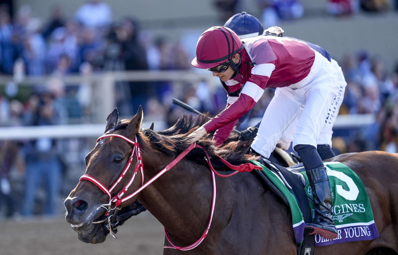 25年BCクラシックを制したフォーエバーヤング（C）Tere　Poplin／Eclipse　Sportswire／Breeders　Cup